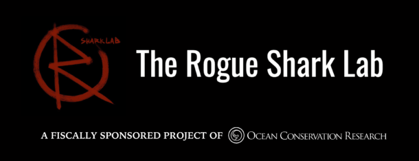 Rogue Shark Lab